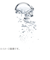 ビオデルマ（BIODERMA）　サンシビオ（Sensibio）　エイチツーオー　D　500mL