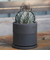 グリーンポット（GREENPOT）　パラス　12cm　グレー