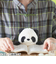 ドリームズ　ふんばるず　パンダ