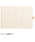 ロディア（RHODIA）　ロディアラマ　ゴールブック　A5　cf117807　アクア