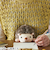 ドリームズ　ふんばるず　ハリネズミ