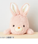 ドリームズ　ふんばるず　ウサギ