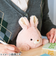 ドリームズ　ふんばるず　ウサギ