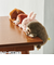 ドリームズ　ふんばるず　ウサギ