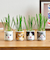 聖新陶芸　おちょこで猫草　GD1029－4　グレー