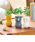 聖新陶芸　コロコロキャット　GD1026－2　バジル