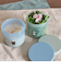 サブヒロモリ　ムームーフレンズ　フリージングクリアコンテナ　430mL　きゃらめるらっこ