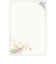 ホールマーク（Hallmark）　葉書箋　コンフォート・アンド・ピース　カームフルトーン　846466　1柄8枚