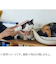 ワタオカ　ねこじゃすり　グレイッシュピンク