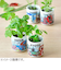 聖新陶芸　お芽でたおちょこ京都　三つ葉　GD997‐3