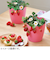 聖新陶芸　摘みたていちご栽培セット　GD1000