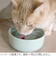 オーカッツ（Aukatz）　ヘルスウォーター　水飲み用ボウル　S　OATM-1　緑系