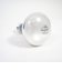 パナソニック　レフ電球　屋内用　40W　RF100V36WD