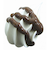 パジコ　デコクリームソース　チョコ