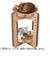 猫壱　バリバリボウルタワー