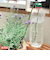 鉢植簡易給水器　給水番