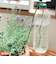 鉢植簡易給水器　給水番