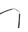 レターネック　50cm