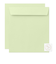 ミドリ（MIDORI）　カラー色紙用封筒　黄緑　33287