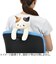 りぶはあと　プレミアムねむねむアニマルズ　リラワーク　背中ツボ押しクッション　87015－44　柴犬／コタロウ