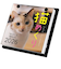 【2026年版・卓上】　中央経済社　日めくり　猫めくり　CK－C26－01