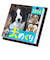 【2026年版・卓上】　中央経済社　日めくり　犬めくり　CK－D26－01