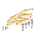 【2026年版・壁掛】　全協　魚彩時記　NK-107