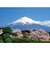 【2026年版・壁掛】　全協　富士十二景　YG-27