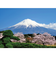 【2026年版・壁掛】　全協　富士十二景　YG-27