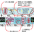 【2026年版・壁掛】　シーガル　歳時記カレンダー　B3判