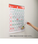 【2026年版・壁掛】　シーガル　ビニールポケットカレンダー　B2変型