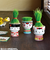 聖新陶芸　芝って栽培キット　KOKESHI　おかっぱ　GD1048-3