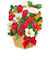 【クリスマス】ホールマーク（Hallmark）　立体クリスマスカード　846992　クリスマスフラワーアレンジメント