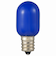 オーム電機（OHM）　LEDナツメ球装飾用　T20/E12/0.5W/1lm/青色　　　　LDT1B-H-E12　13