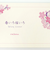 フロンティア　一筆箋　MP－628　春いろ桜いろ