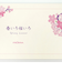 フロンティア　一筆箋　MP－628　春いろ桜いろ