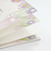 フロンティア　はがき箋　HGS－518　ひだまりの花たち