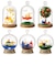 リーメント　ミッフィー　miffy　Terrarium　たのしいまいにち