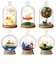 リーメント　ミッフィー　miffy　Terrarium　たのしいまいにち
