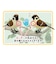 ティーケーエスケー（TKSK）　日本の野鳥　music　bird　スズメ