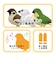 ティーケーエスケー（TKSK）　日本の野鳥　music　bird　スズメ