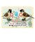 ティーケーエスケー（TKSK）　日本の野鳥　music　bird　メジロ