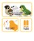 ティーケーエスケー（TKSK）　日本の野鳥　music　bird　メジロ