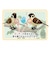 ティーケーエスケー（TKSK）　日本の野鳥　music　bird　シマエナガ