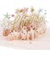 ホールマーク（Hallmark）　輸入カード　Signature　Paper　Wonder　おめでとう　82217　Cheers　hapy　to　be　cele