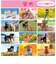 【2027年版・壁掛】　アクティブコーポレーション　森田米雄・まるごと柴犬　27ACL-11