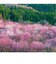 【2027年版・壁掛】　全協　フィルム　四季の彩　SB-279