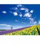 【2027年版・壁掛】　全協　PURE・心に残る日本風景　NK-84
