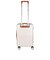 ノルディス（NORDACE）　Siena　キャリーオン　40(45)L　LG-7801　ベージュ