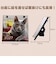 【2027年版・日めくり】　ONDORI　猫めくり
